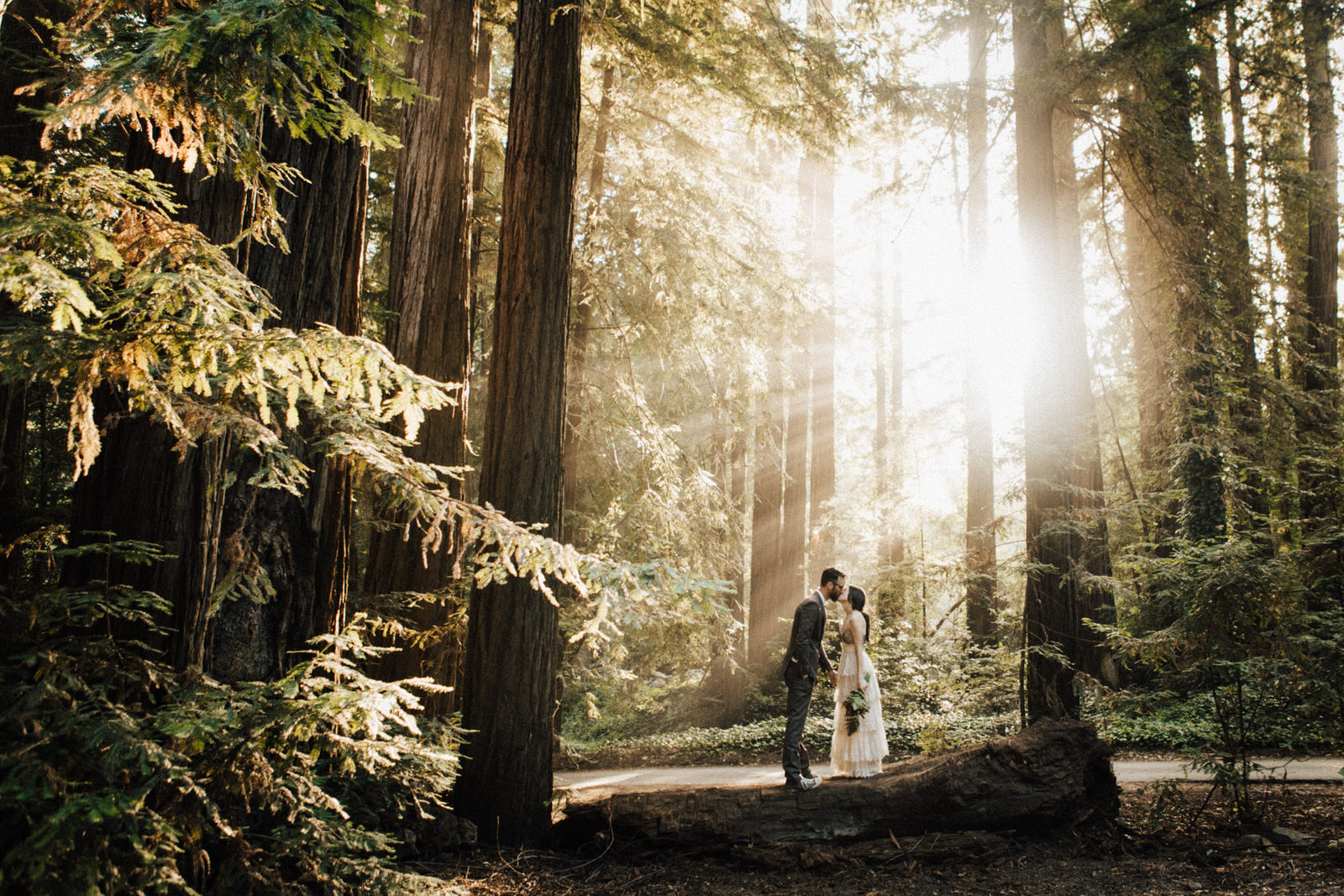 Redwood forest elopement