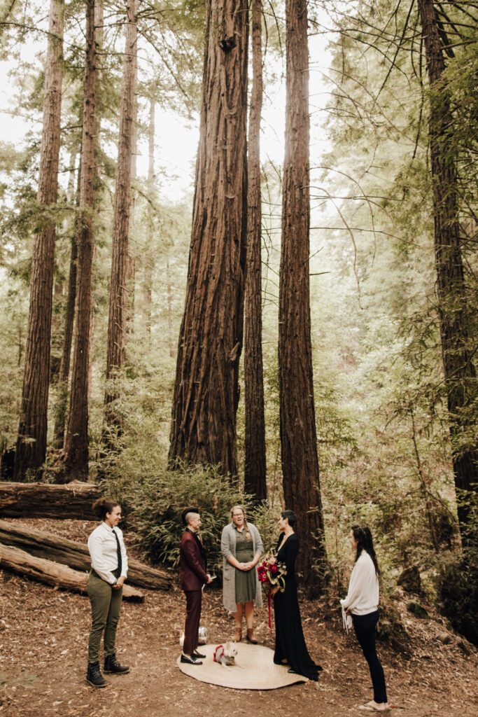 Big Sur Redwoods wedding ceremony