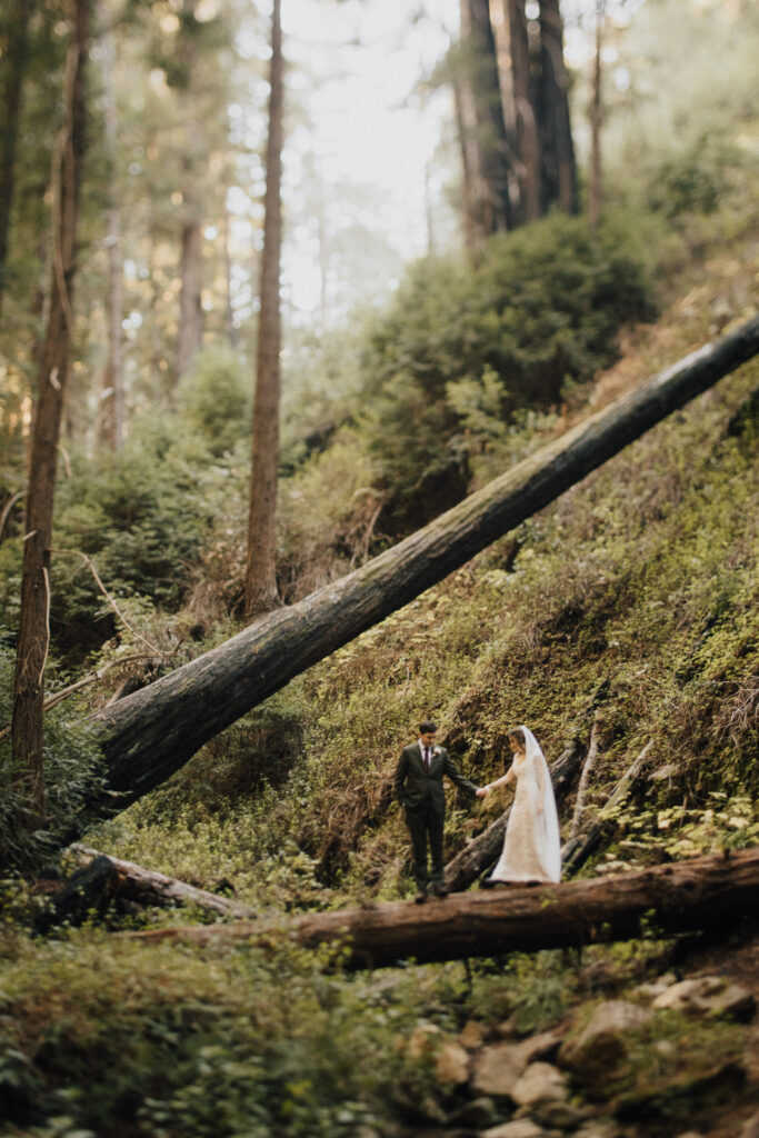 Big Sur Redwood wedding