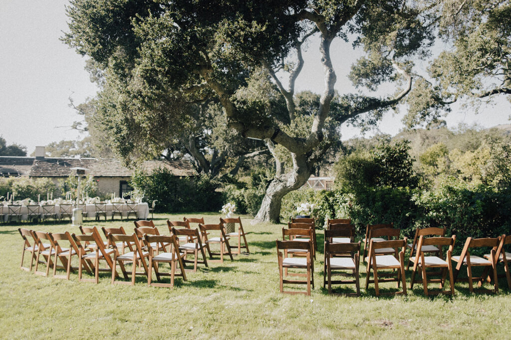 wedding ceremony chairs set up facing a stunning tree