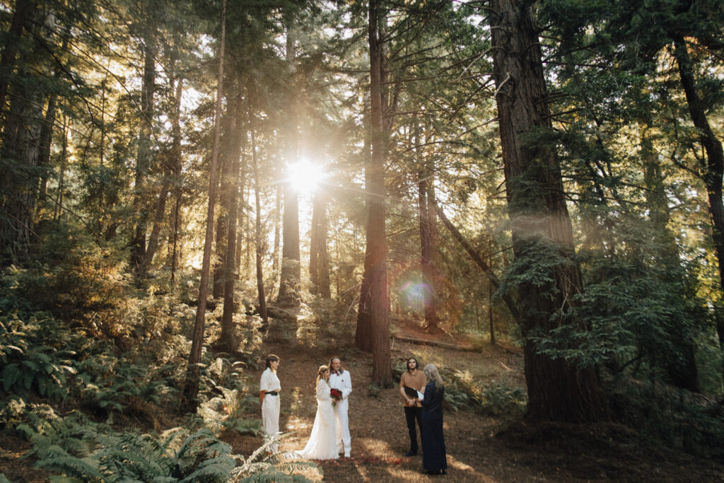 Forest elopement locations in Big Sur